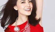 娱乐圈爆料高圆圆,娱乐圈新恋情引发热议